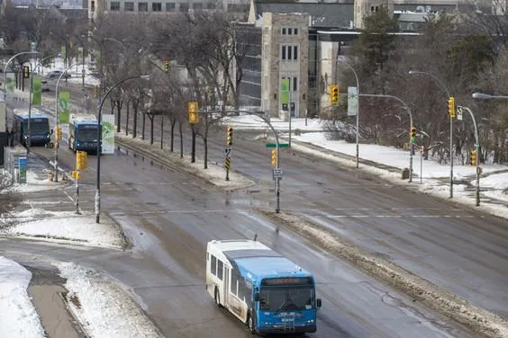 255392897-0407_college_drive_bus_ldr005-w.jpg