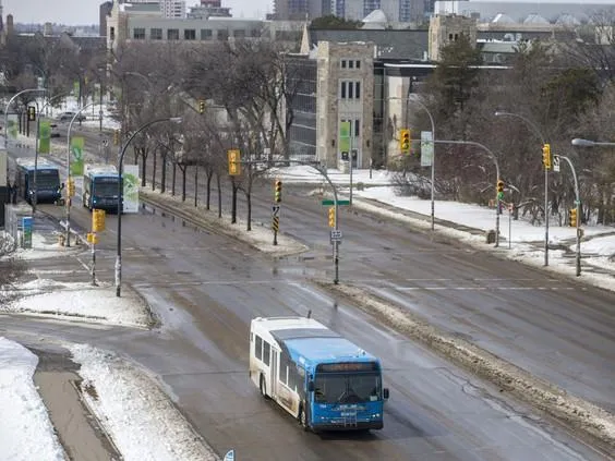 255392897-0407_college_drive_bus_ldr005-w.jpg